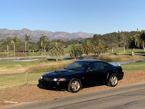 Photo 1 of 8 of 2001 Ford Mustang Bullitt